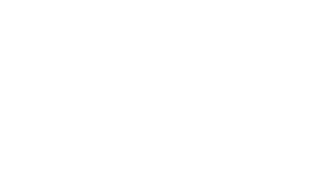 Boleto White